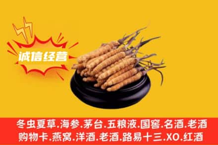 沈阳回收冬虫夏草